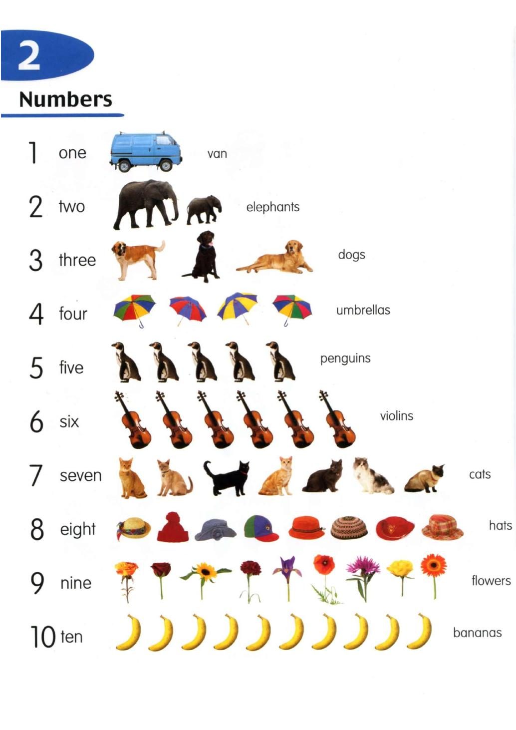 Longman Children's Picture Dictionary 正文截图 2