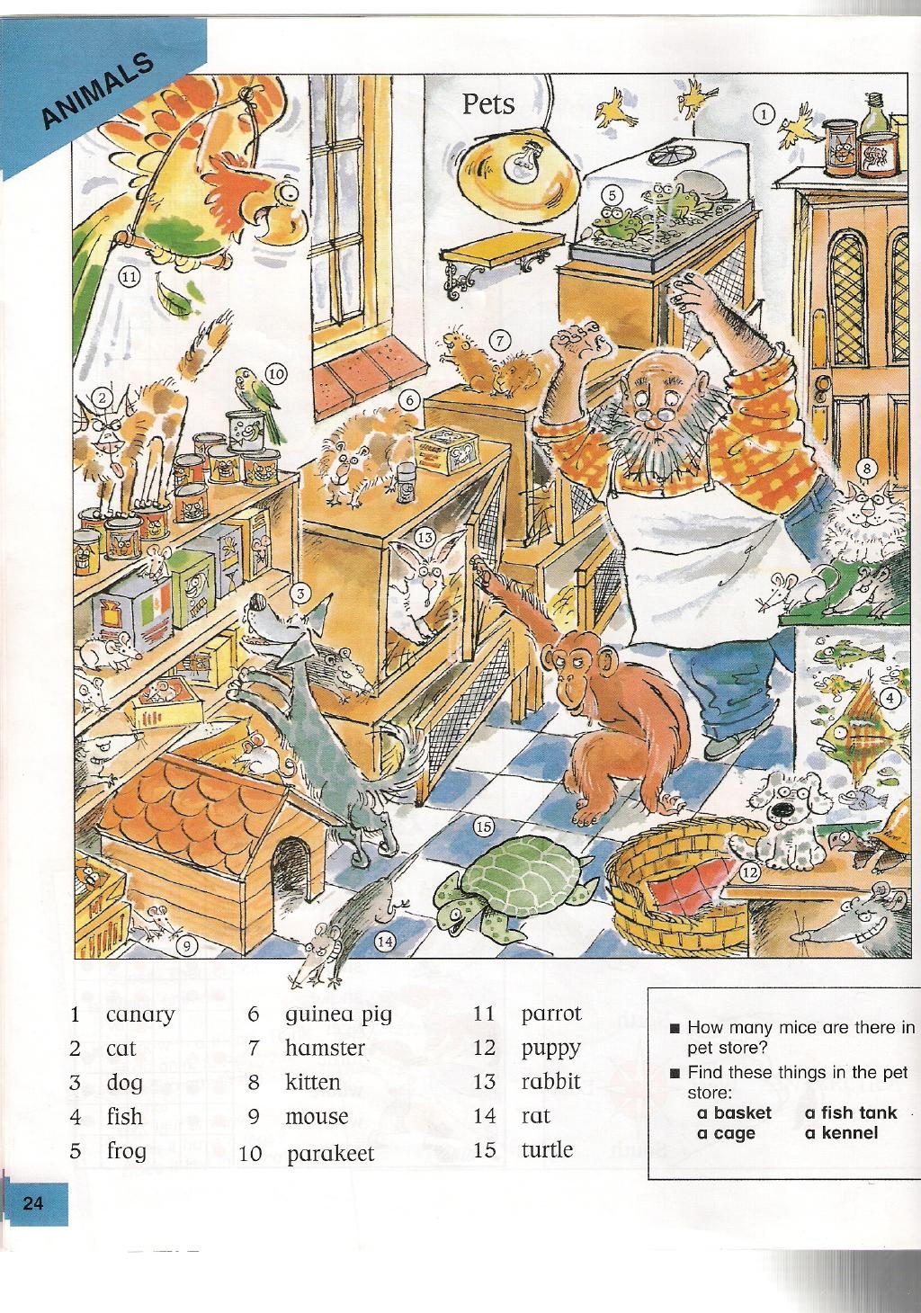 Longman Picture Dictionary American English 正文截图 10