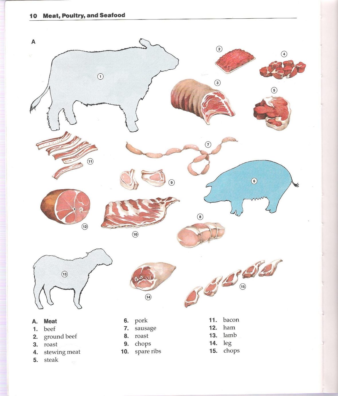 The New Oxford Picture Dictionary 正文截图 9