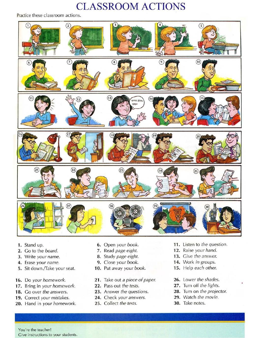 Word by Word Picture Dictionary 正文截图 7