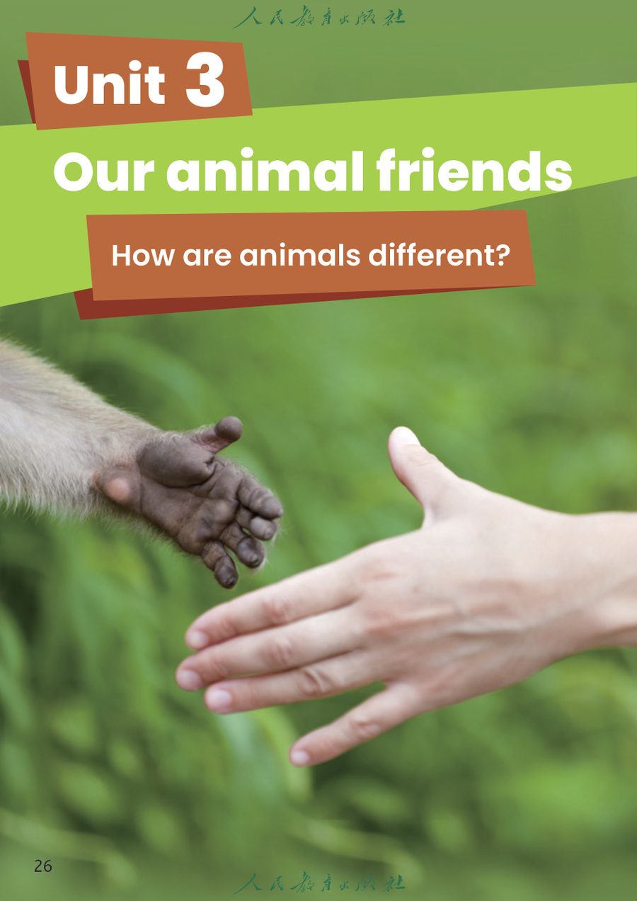 Unit 3 Our animal friends 教材截图