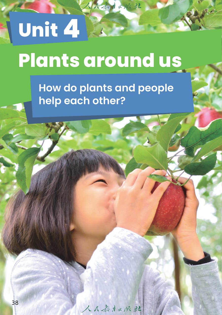 Unit 4 Plants around us 教材截图