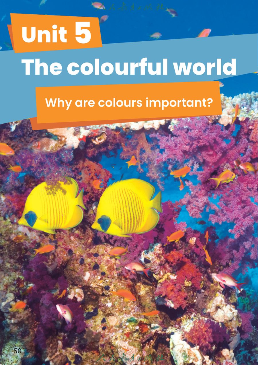 Unit 5 The colourful world 教材截图